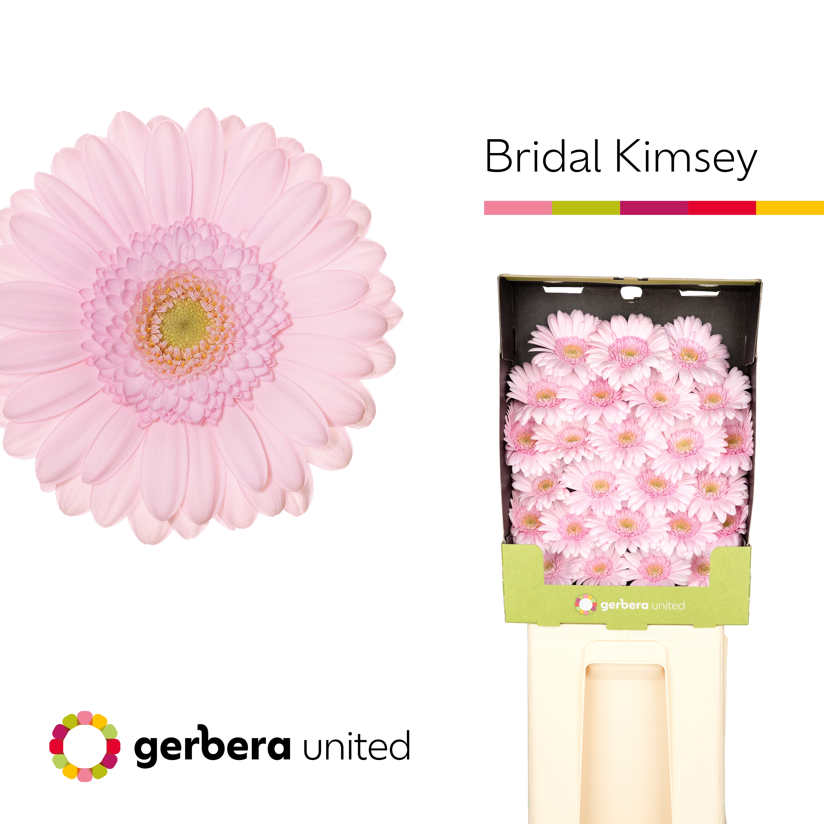Ge Mi Bridal Kimsey