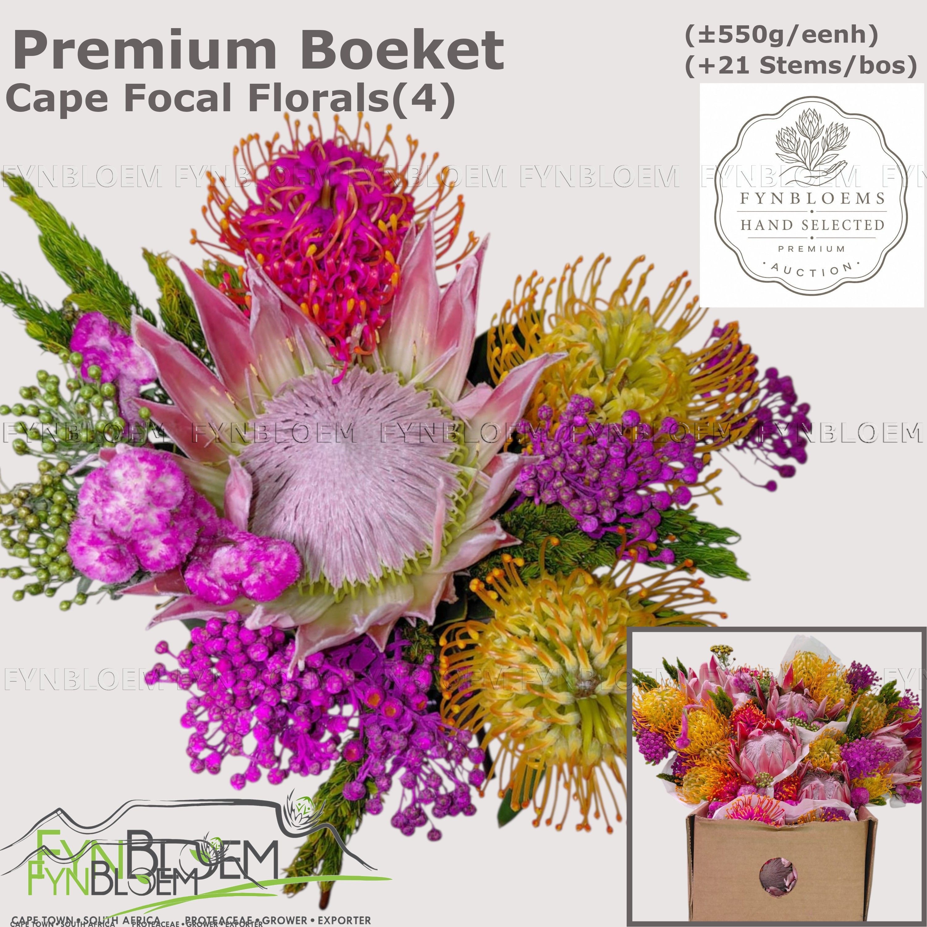 Protea Bouquet Per Bunch 40cm