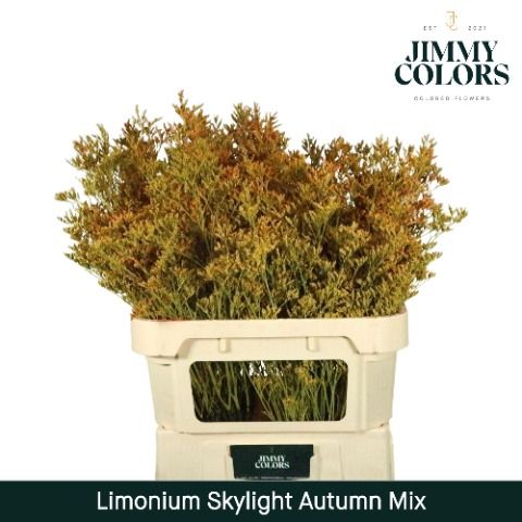 Lim Skylight L70 Autumn Mix (double)