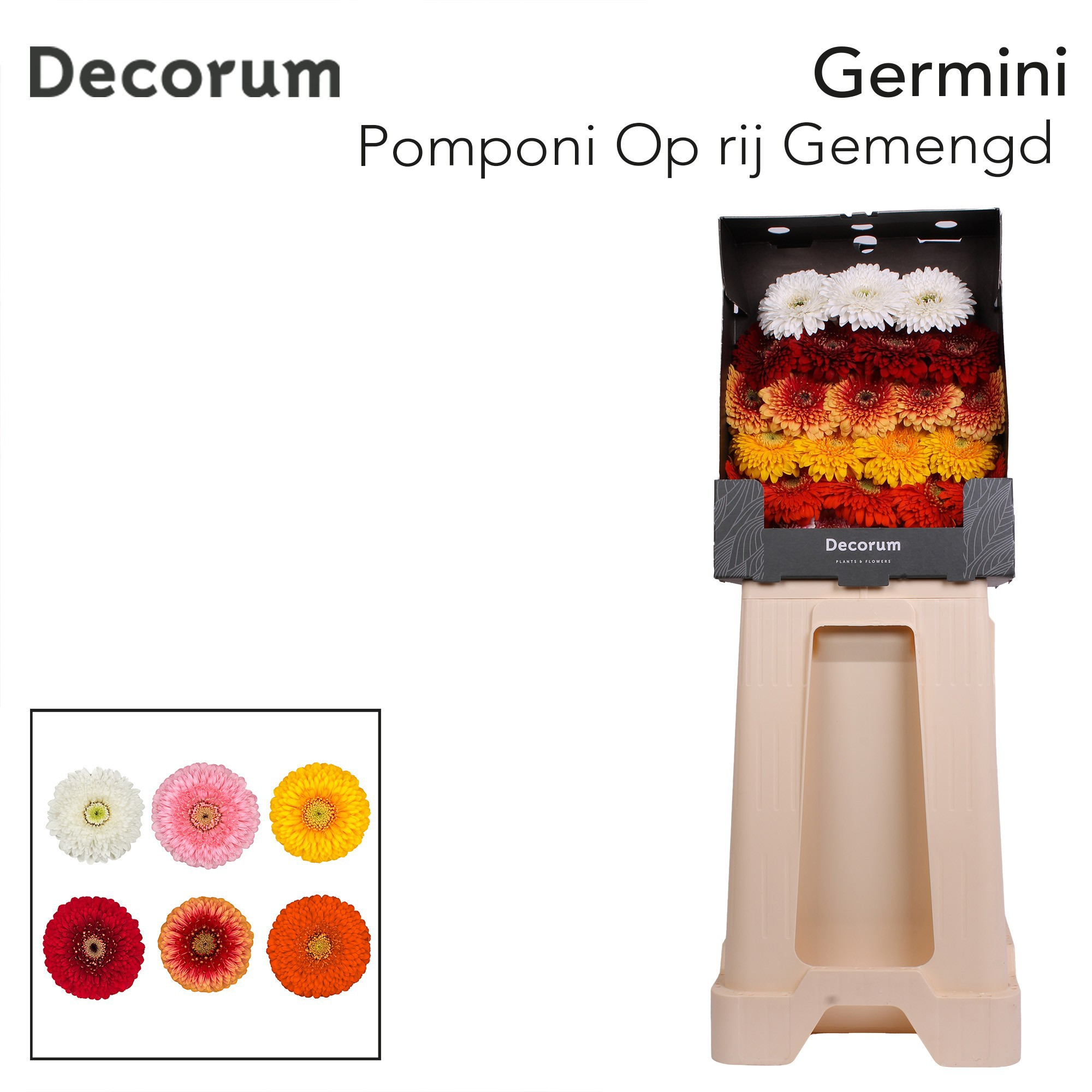 Ge Bv Pom Rij Gem
