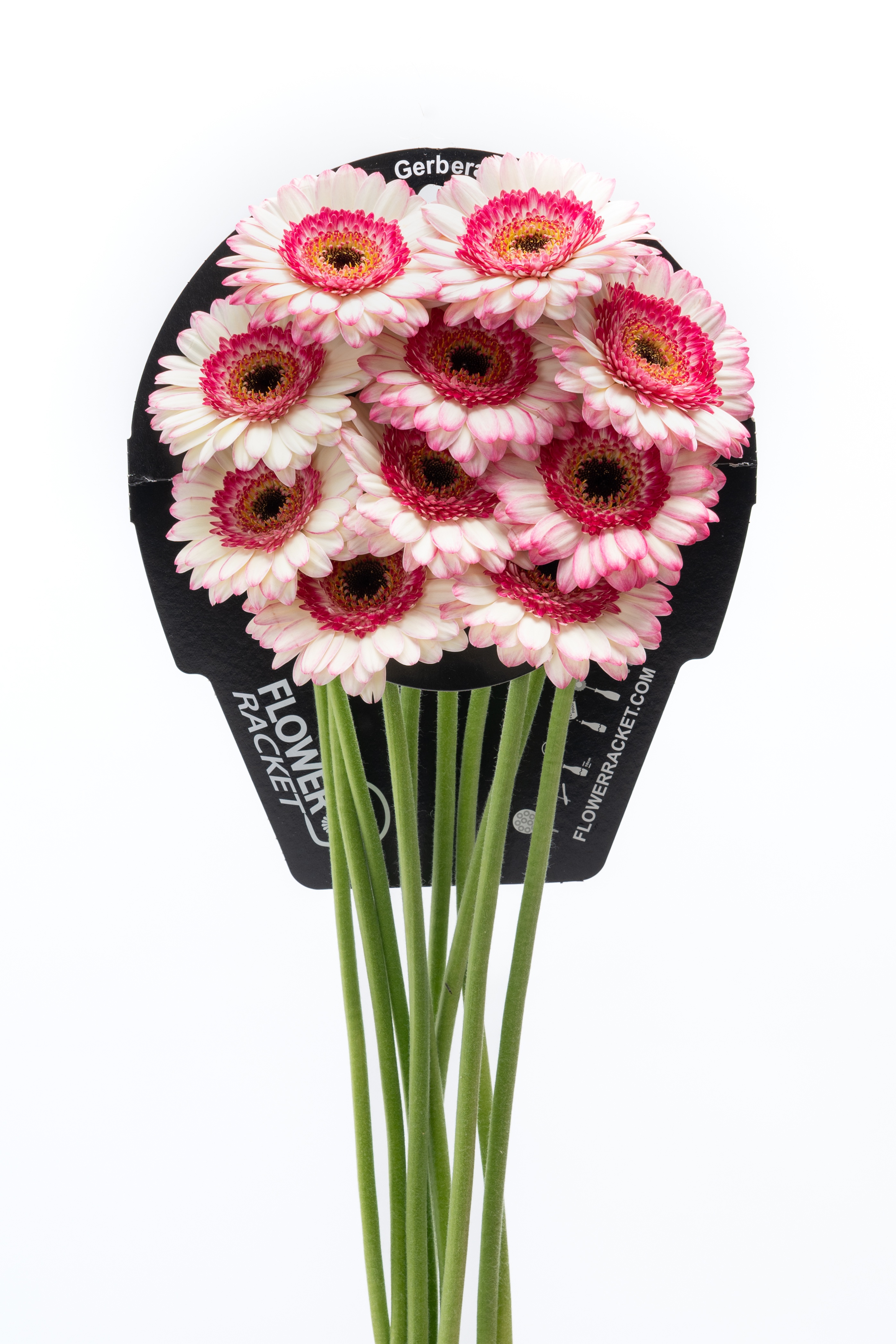 Ge Mi Happy Hour Flowerracket