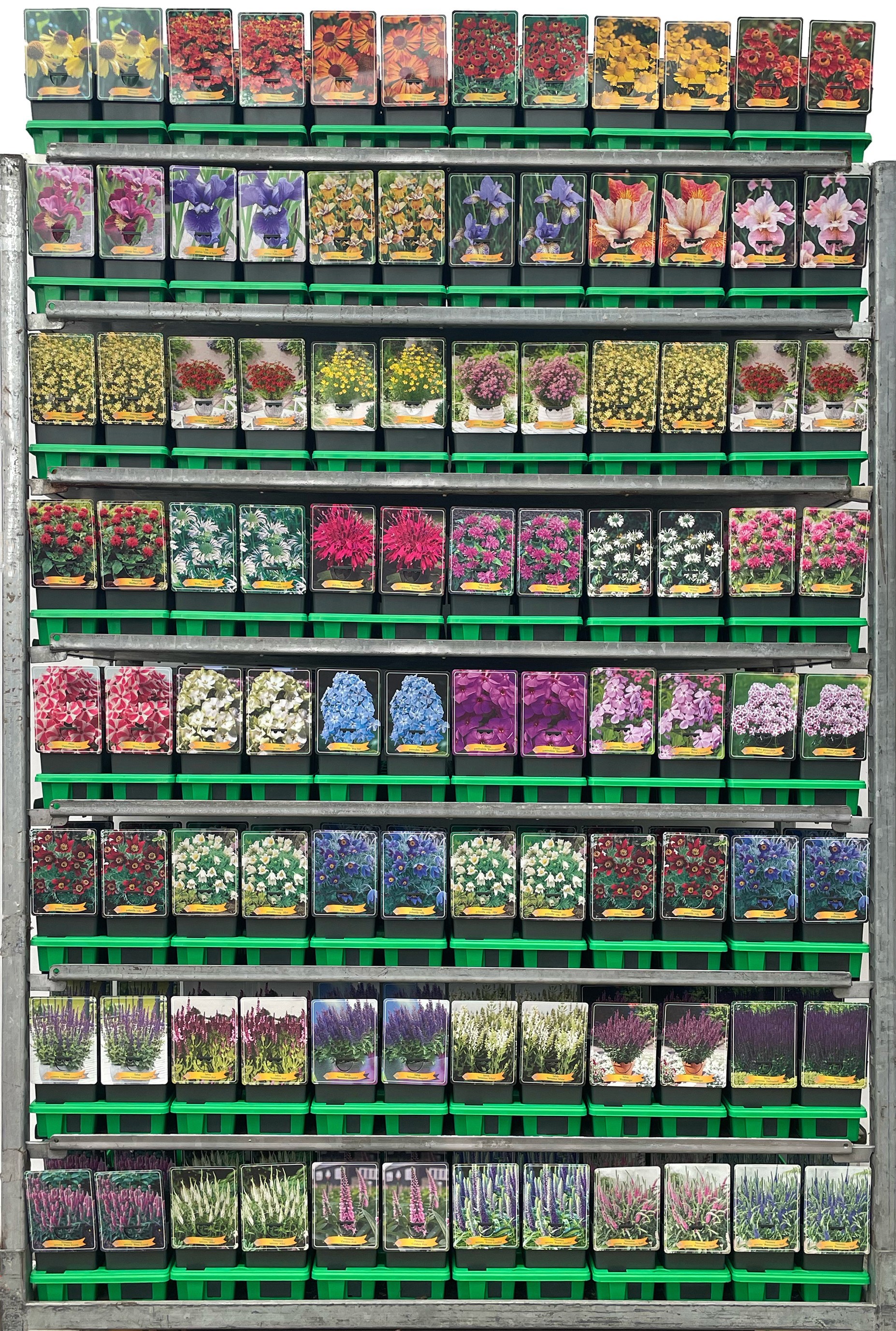 Picture of Vaste planten Mix CC 4 P11