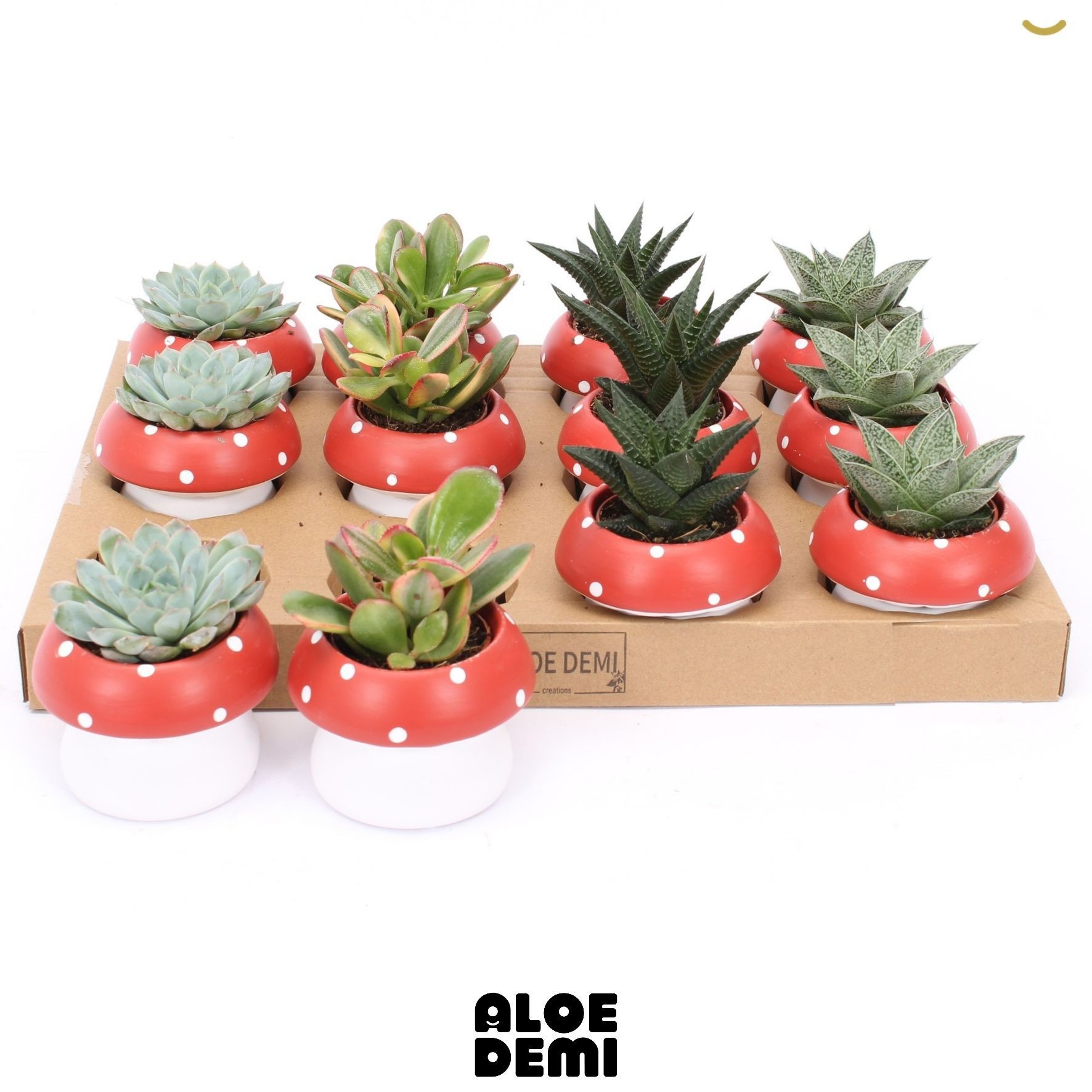 Vetplanten Arr 6% 9Ø 12cm