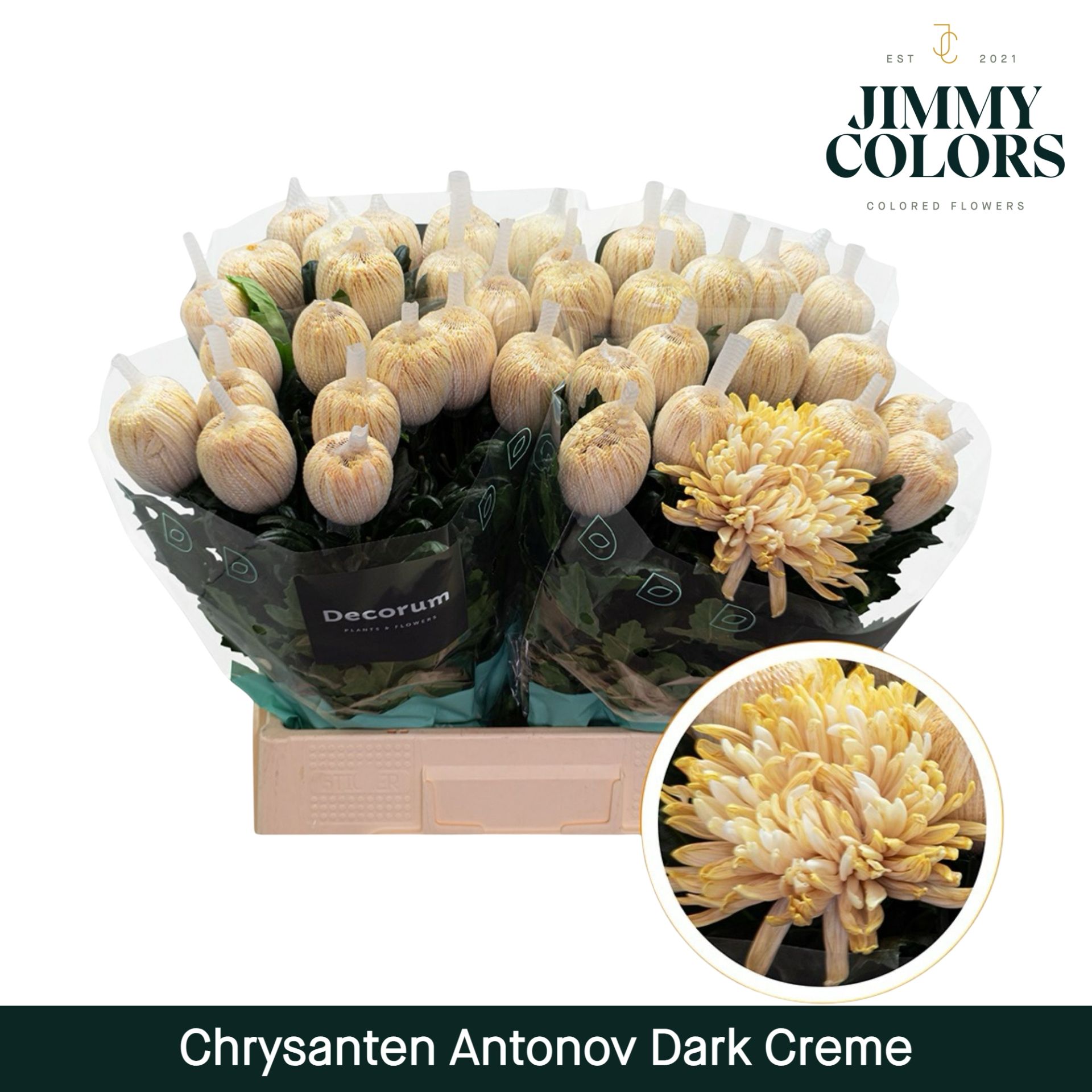 Chr G Antonov Dark Creme