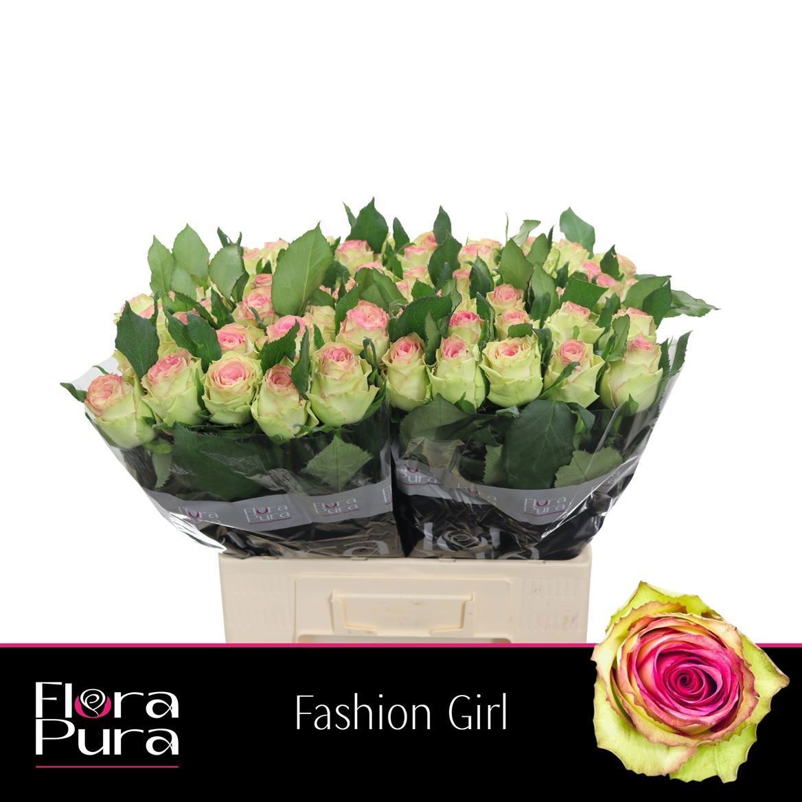 R Gr Fashion Girl