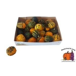 Cucurbita Warts Mix