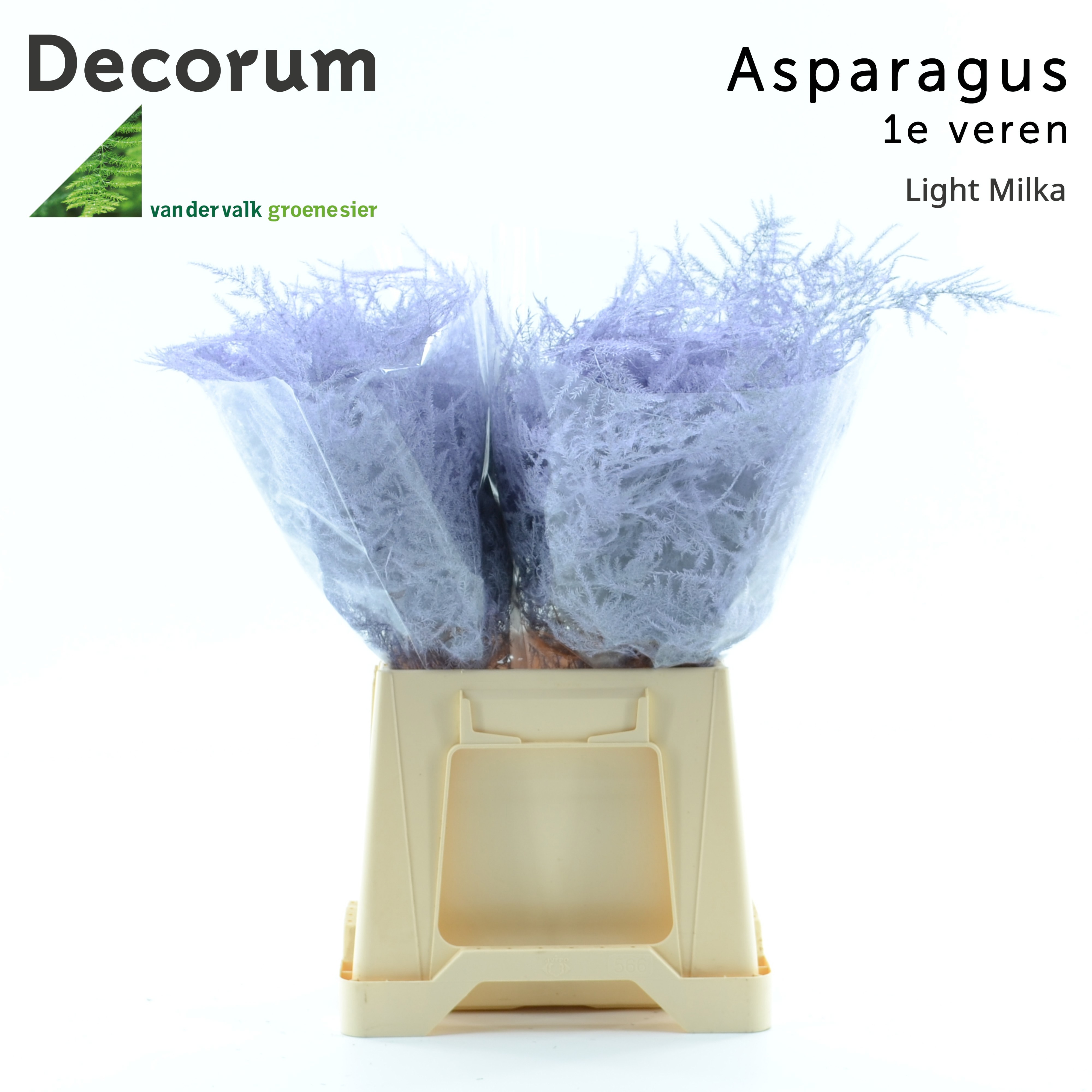 Asp 1e Veren Light Milka