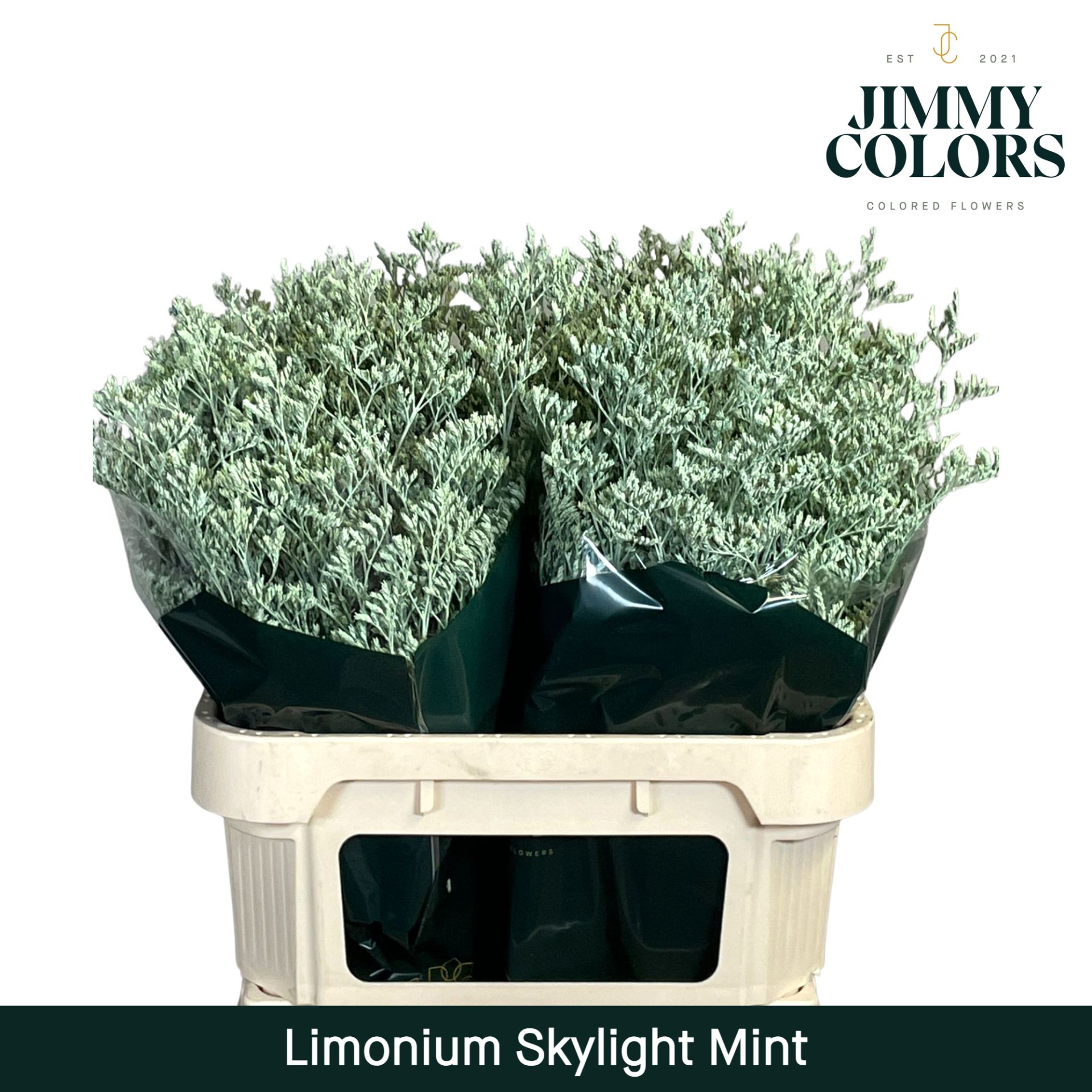 Lim Skylight L80 Mint
