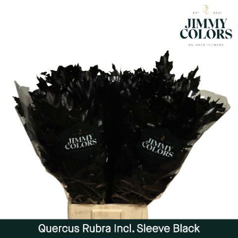 Quercus Rubra Sleeve L80 Black