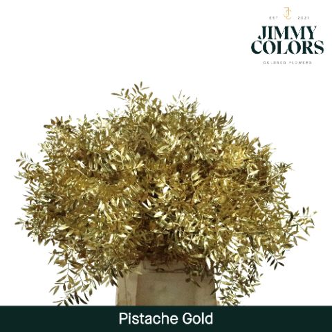 Pistache L50 Metallic Gold