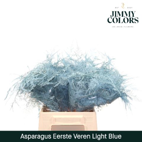 Aspa 1ste Veren Light Blue