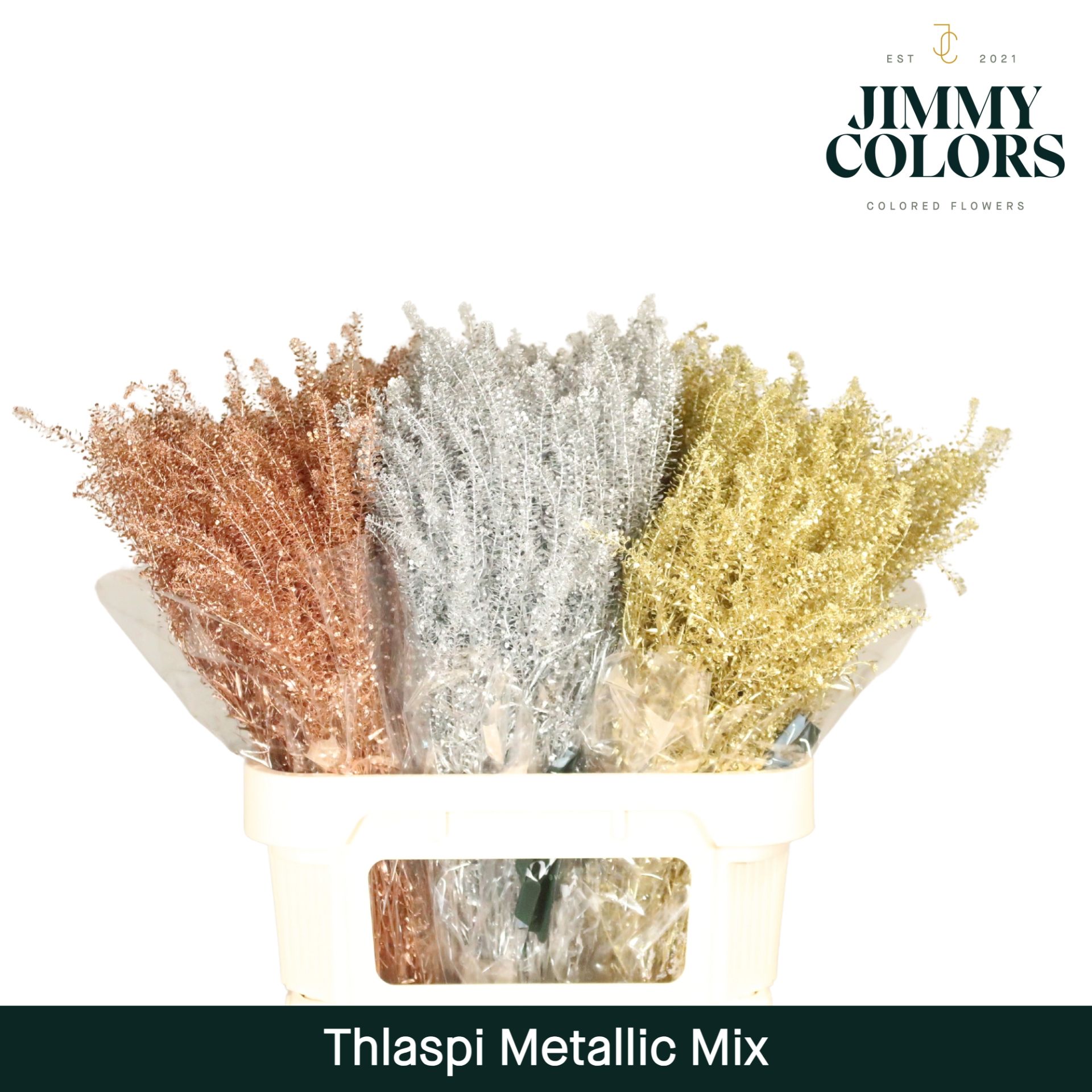 Thlaspi Gekleurd Metallic Mix