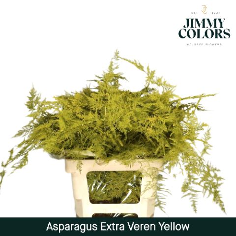 Aspa Extra Veren Yellow