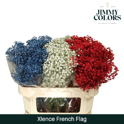 Gyps Xlence L70 French Flag