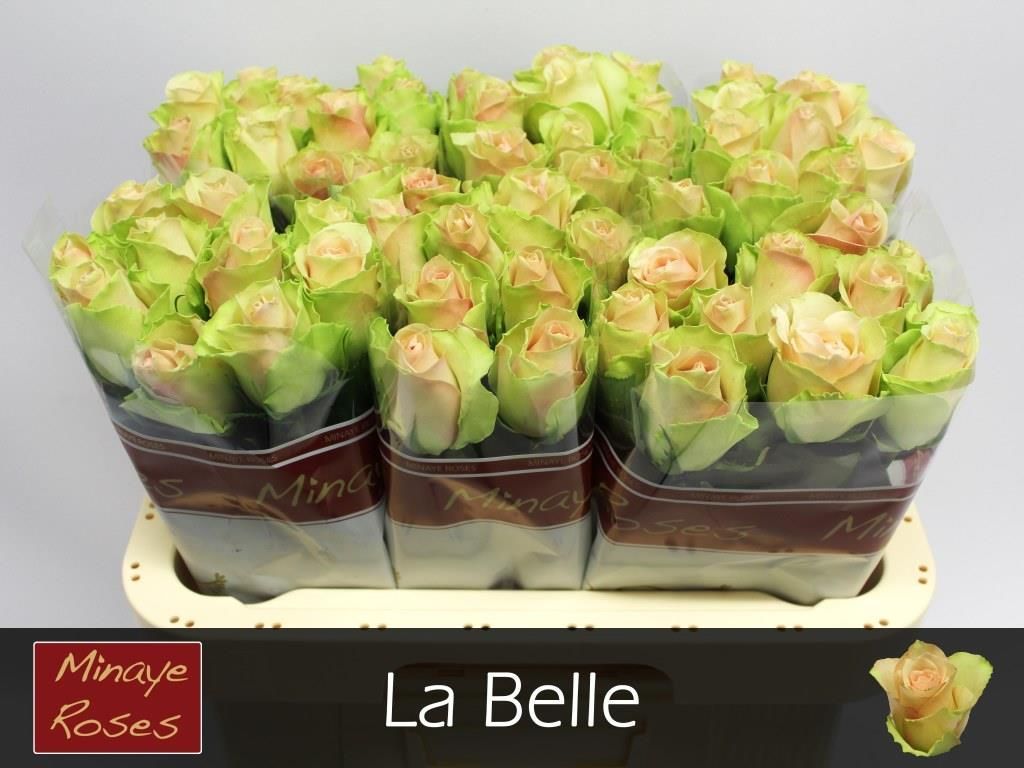 R Gr La Belle