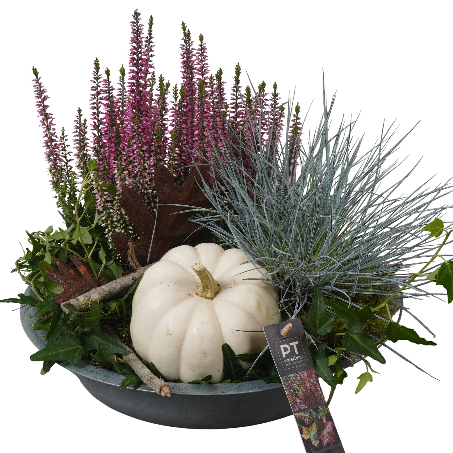 Picture of PTKBH5303 Arrangement Autumn Fruits in metal bwol P28 31CM