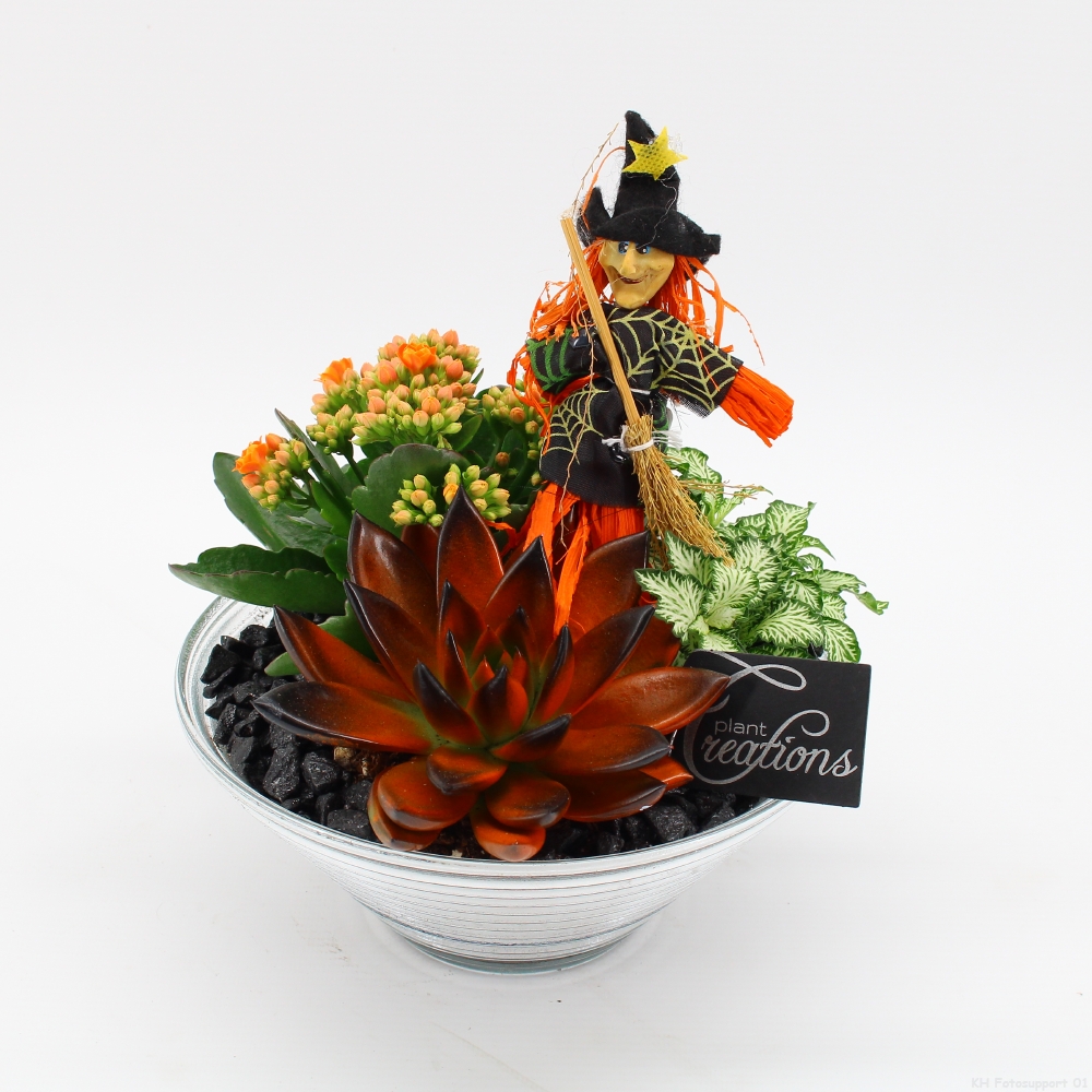 Picture of HWCR-2403 Halloween arrangement P20 25CM