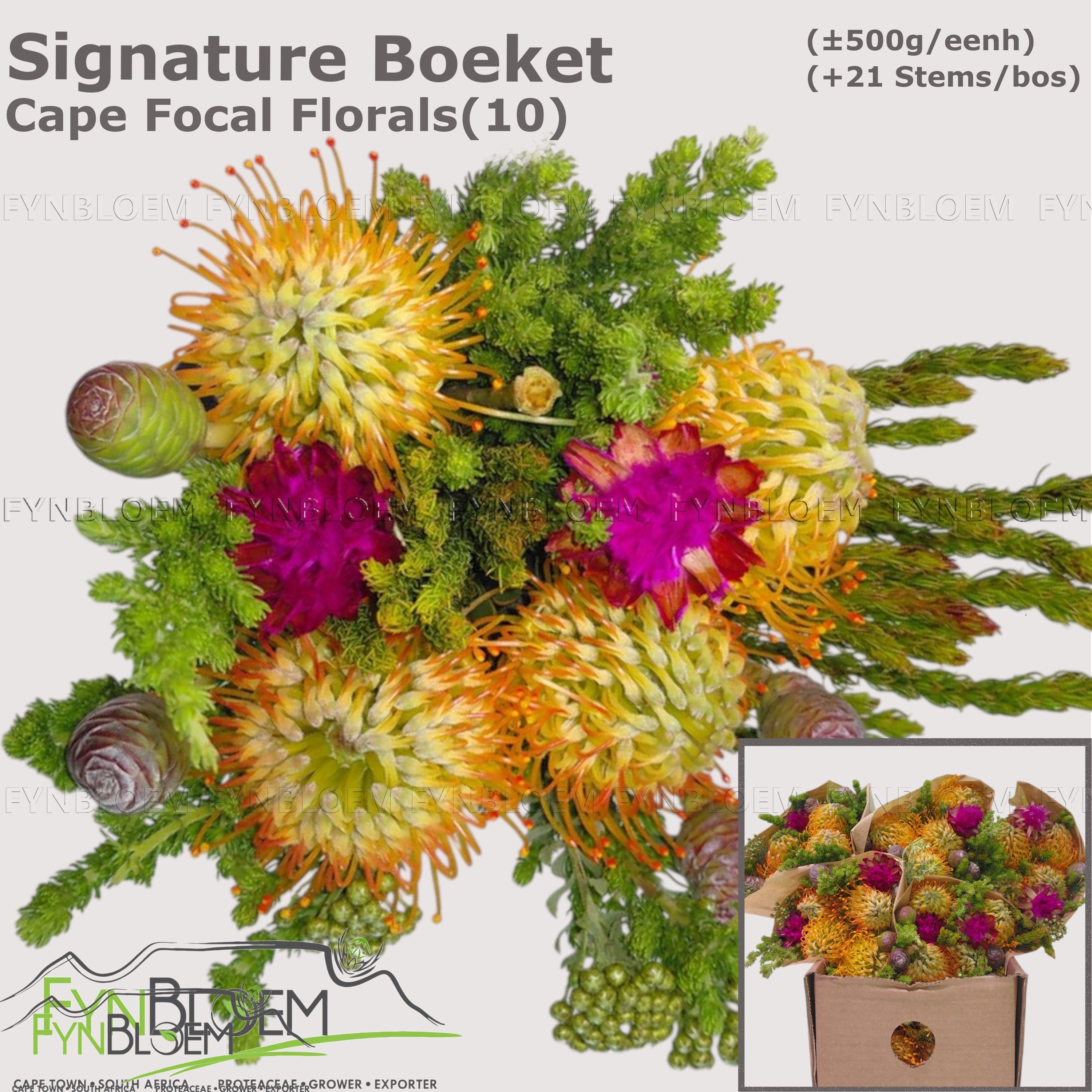 Protea Bouquet Per Bunch 40cm