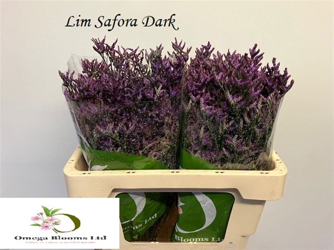 Lim Saf Dark Blue 50L.cm 18gram 23bloei