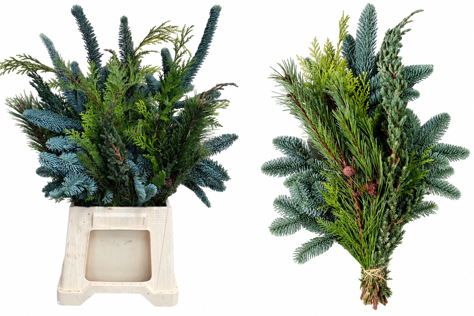 Christmas Greens