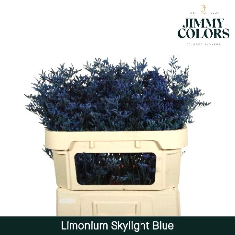 Lim Skylight L70 Blue