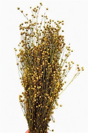 Dried Miscellaneous 60cm 150gram
