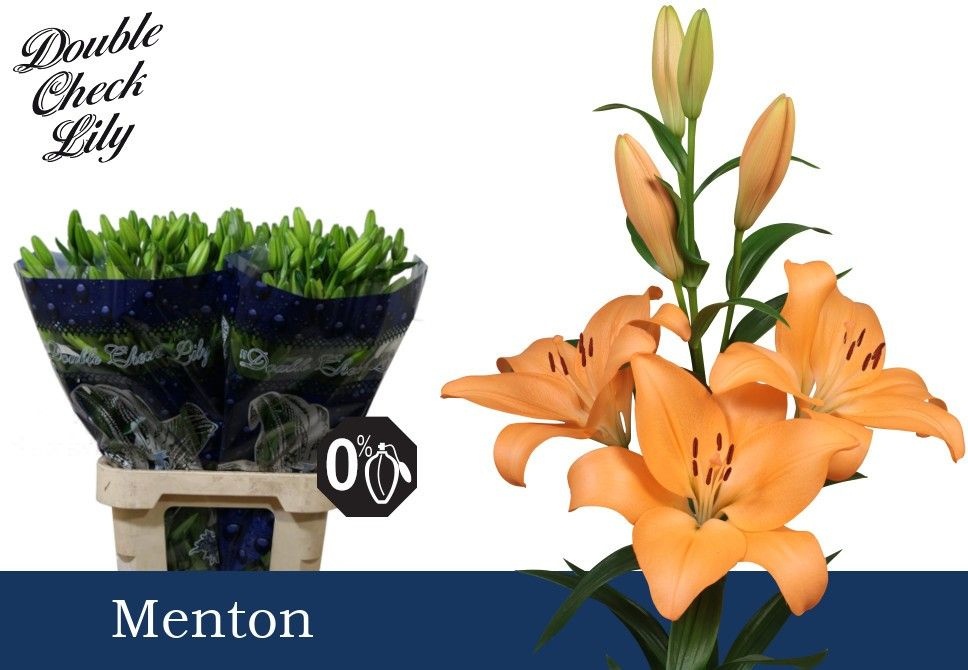 Li La Menton