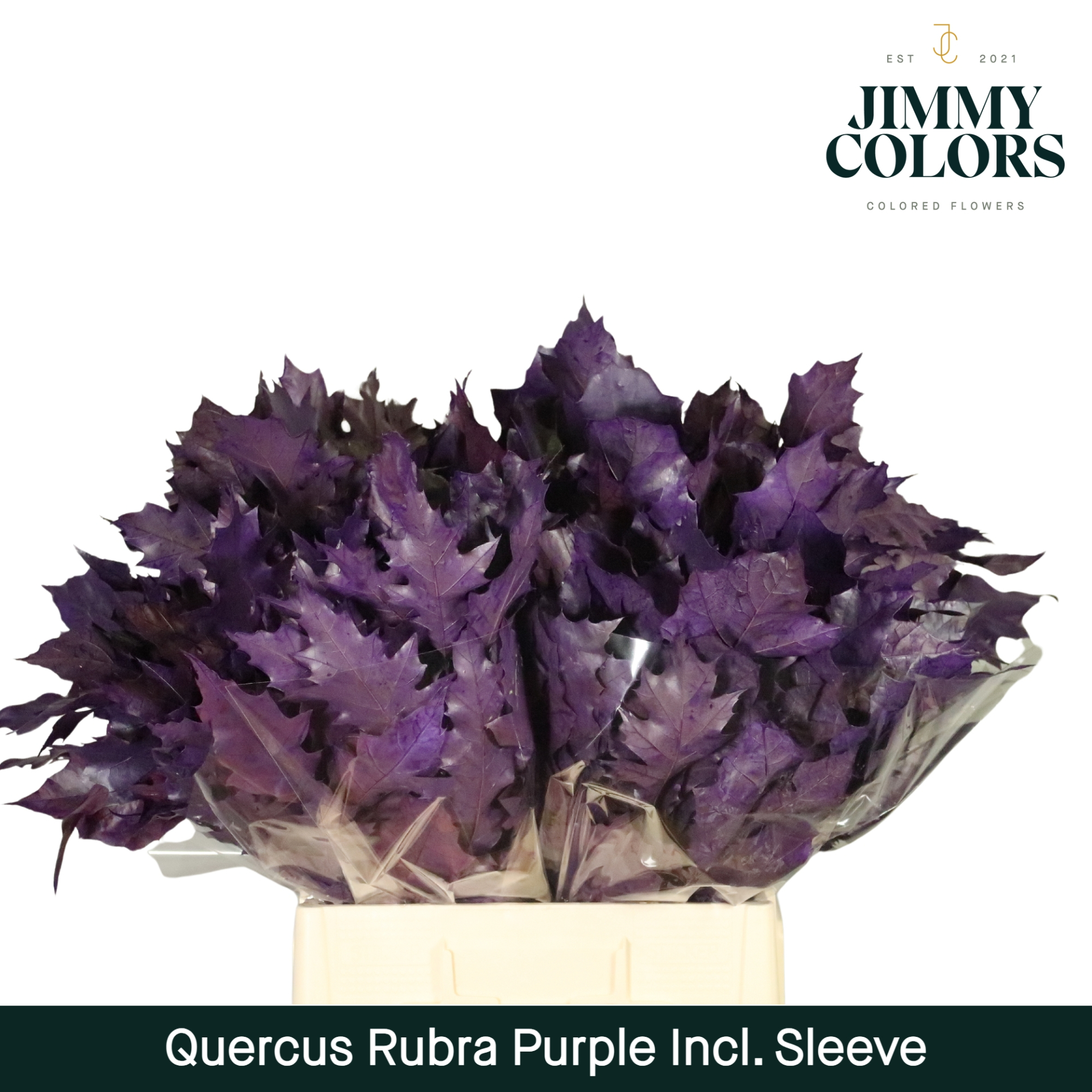 Quercus Rubra Sleeve L60 Paars