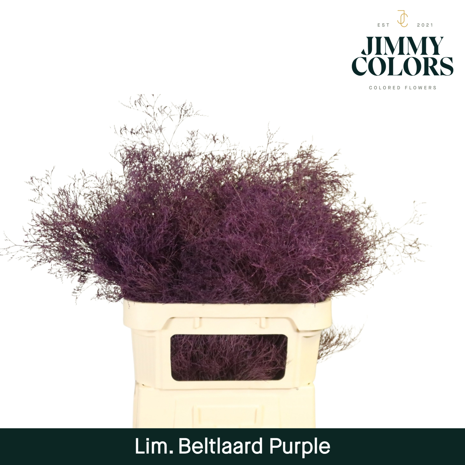 Lim Bel L90 Purple
