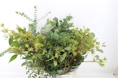 Euc Ov Blad Bs 65L.cm 200gram
