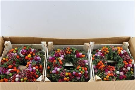 Fruits Malus Per Piece