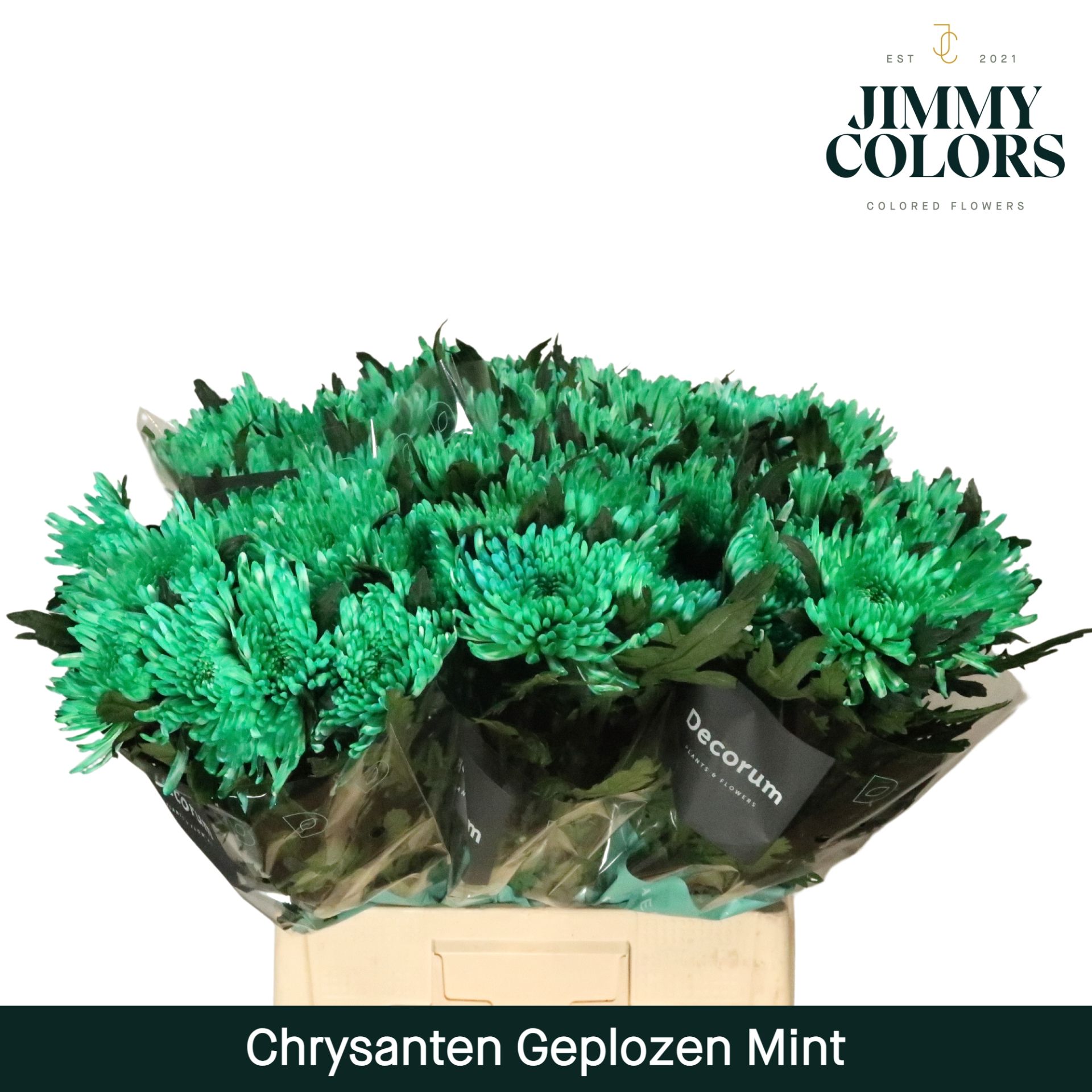 Chr G Topspin Mint
