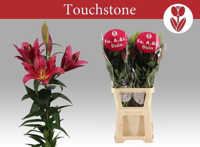 Li Ot Touchstone