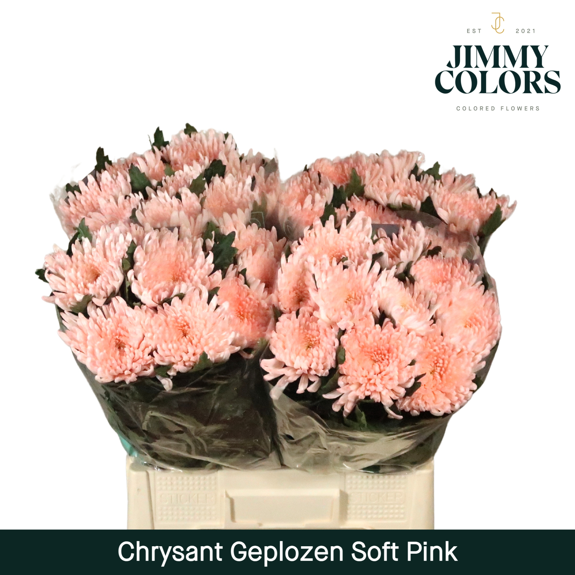 Chr G Topspin Light Pink