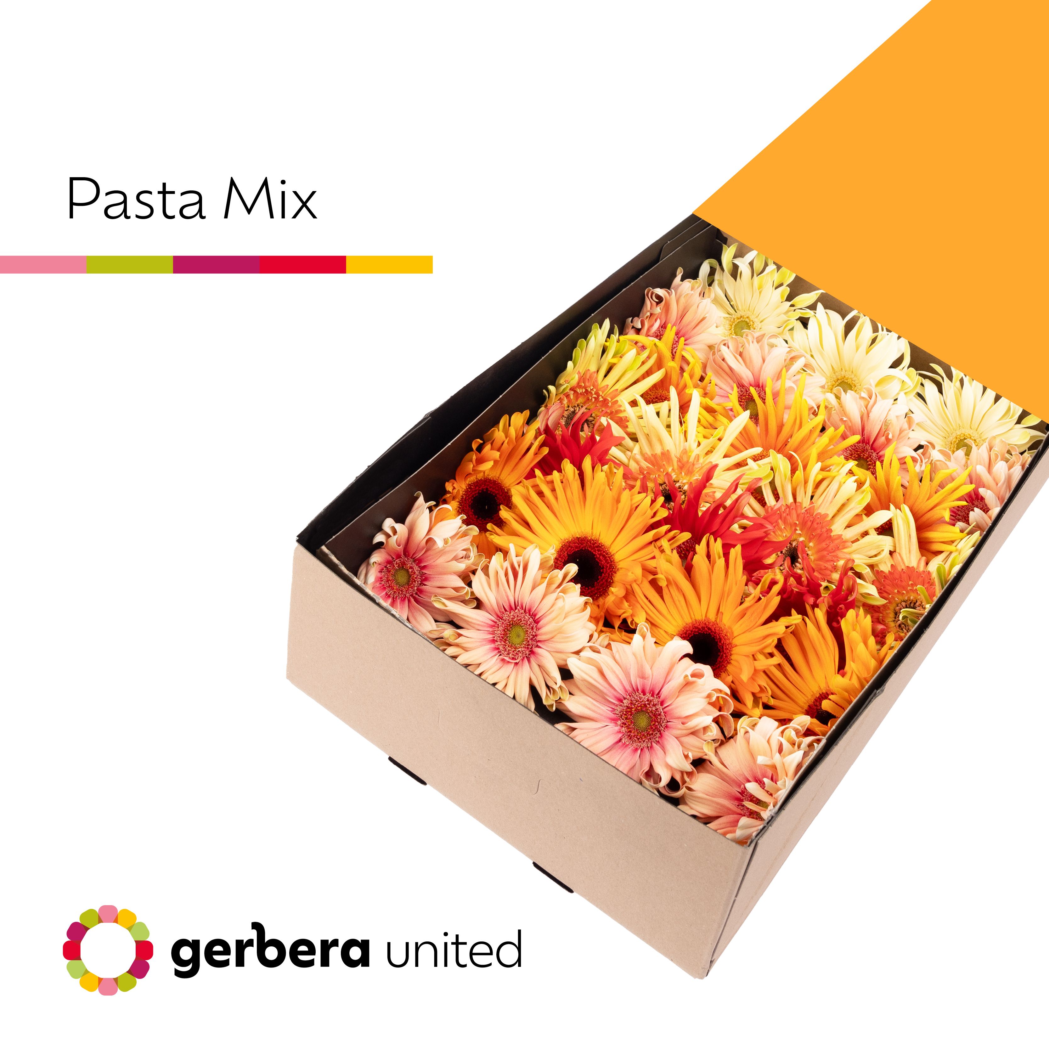Ge Gr Pasta Gem