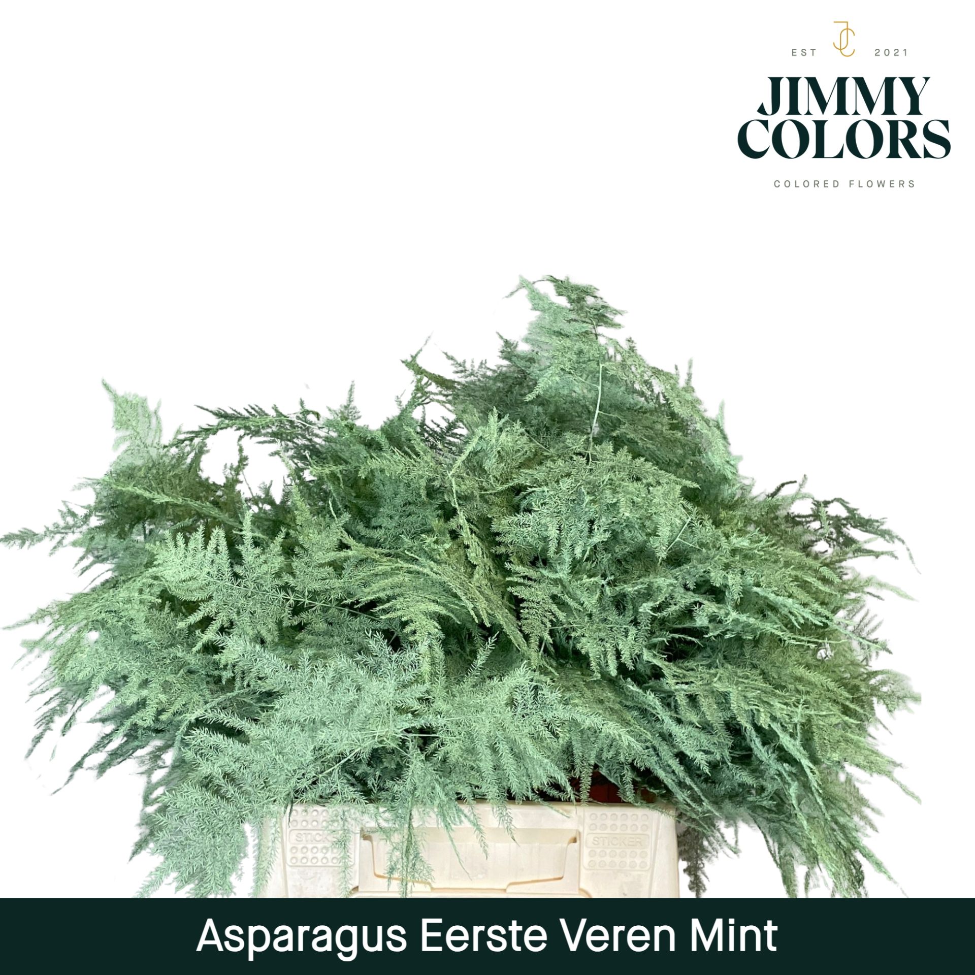 Aspa 1ste Veren Mint