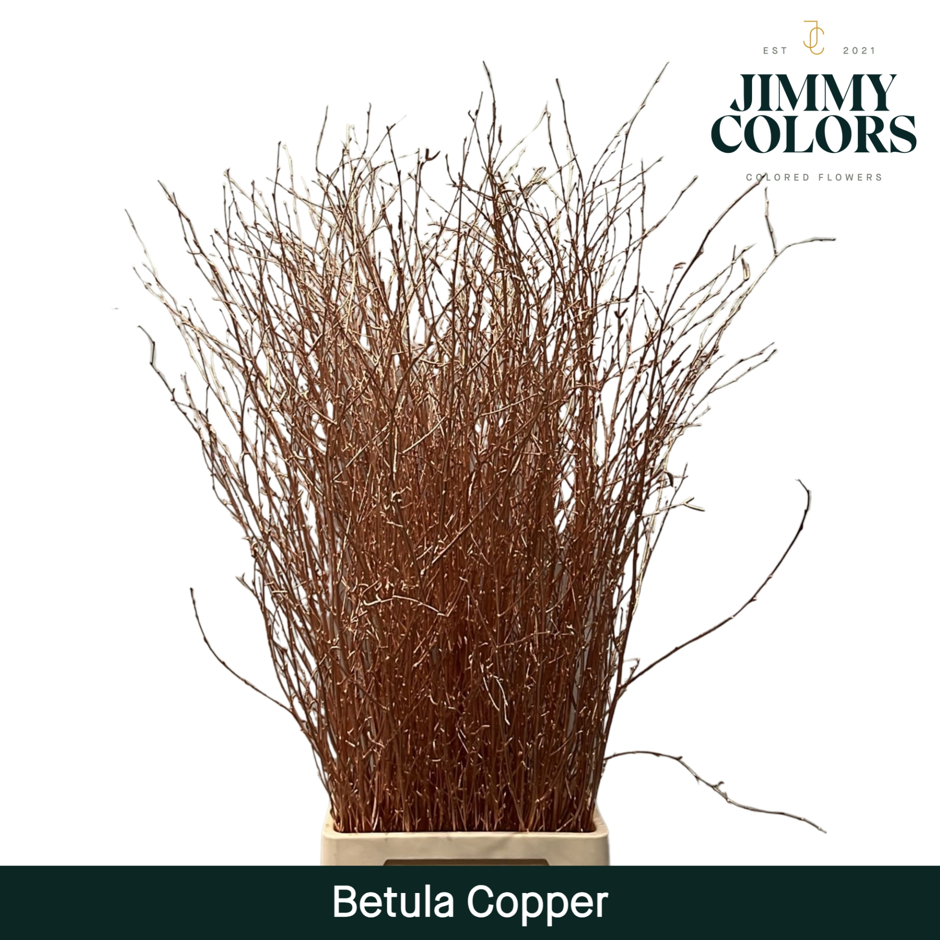 Betula L120 Mtlc. Copper