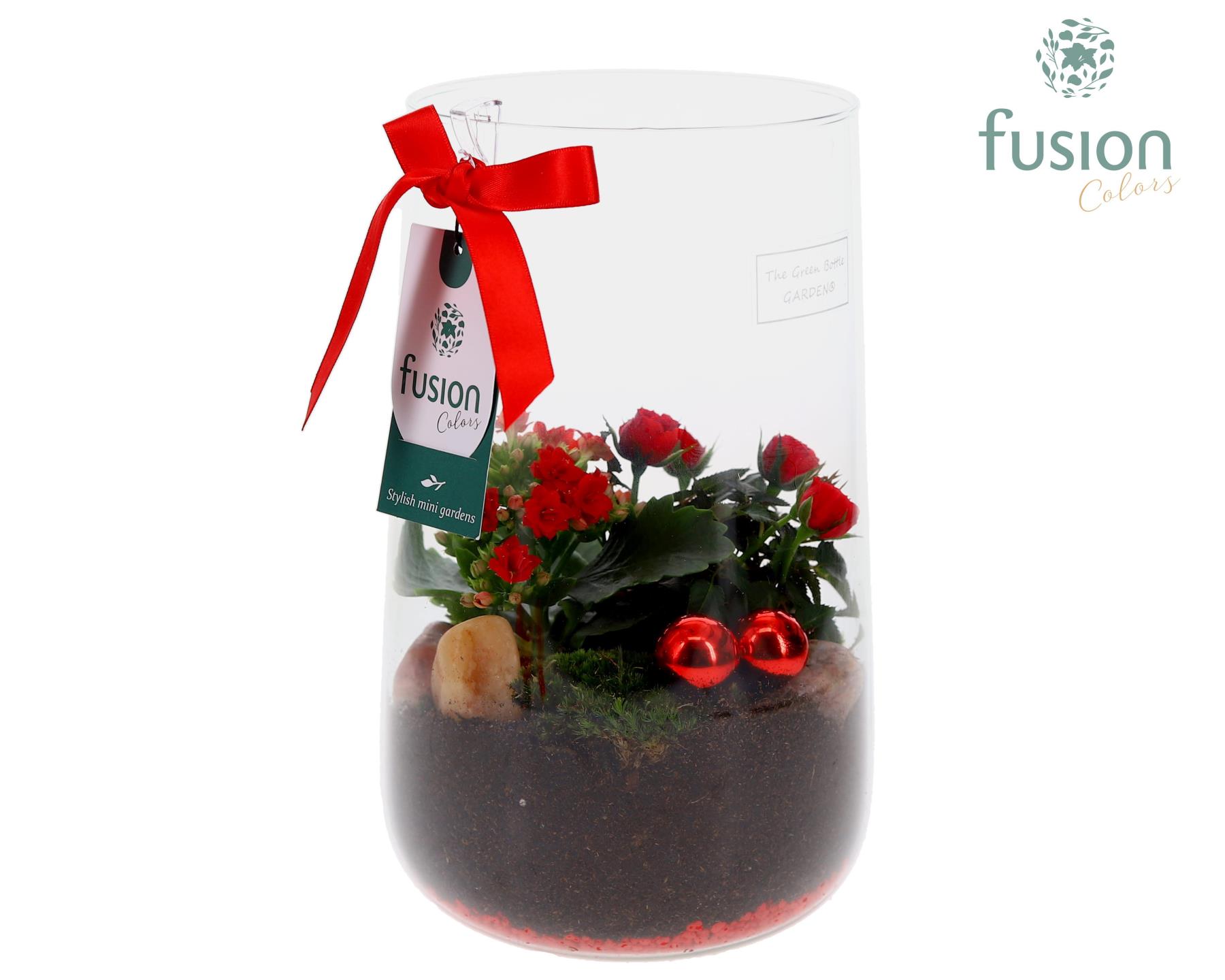 Picture of X-Mas arrangement Green Bottle Deline Large FC-24.0050FDH P15 25CM