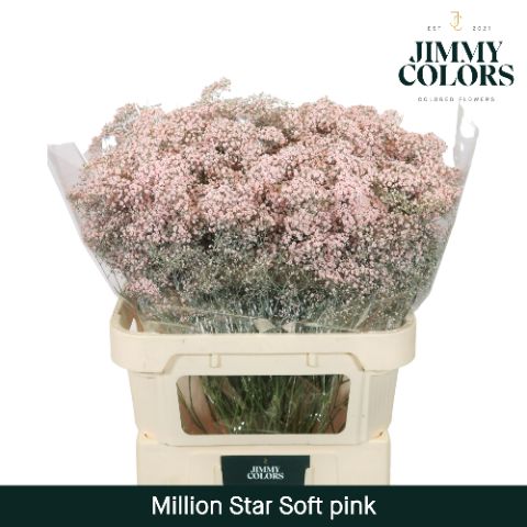 Gyps Million Star L80 Soft Pink