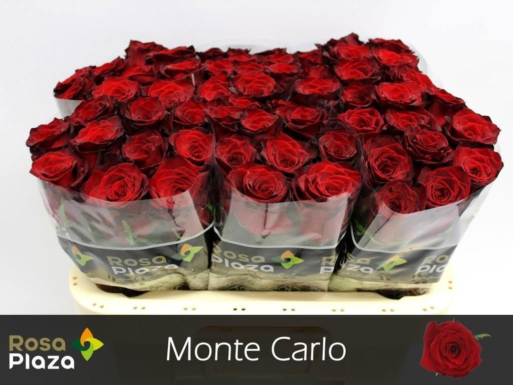 R Gr Monte Carlo
