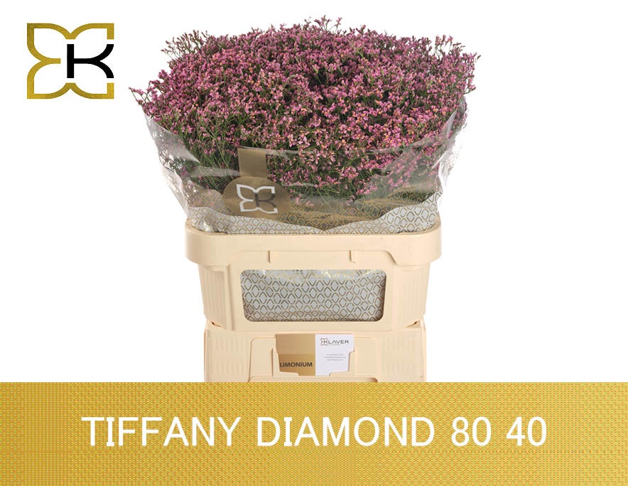 Limonium Sin Tiffany Diamond 80cm 40gram