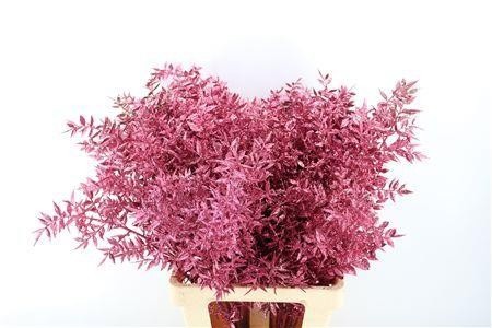 Dried/preserved Flowers Misc 60cm 18gram