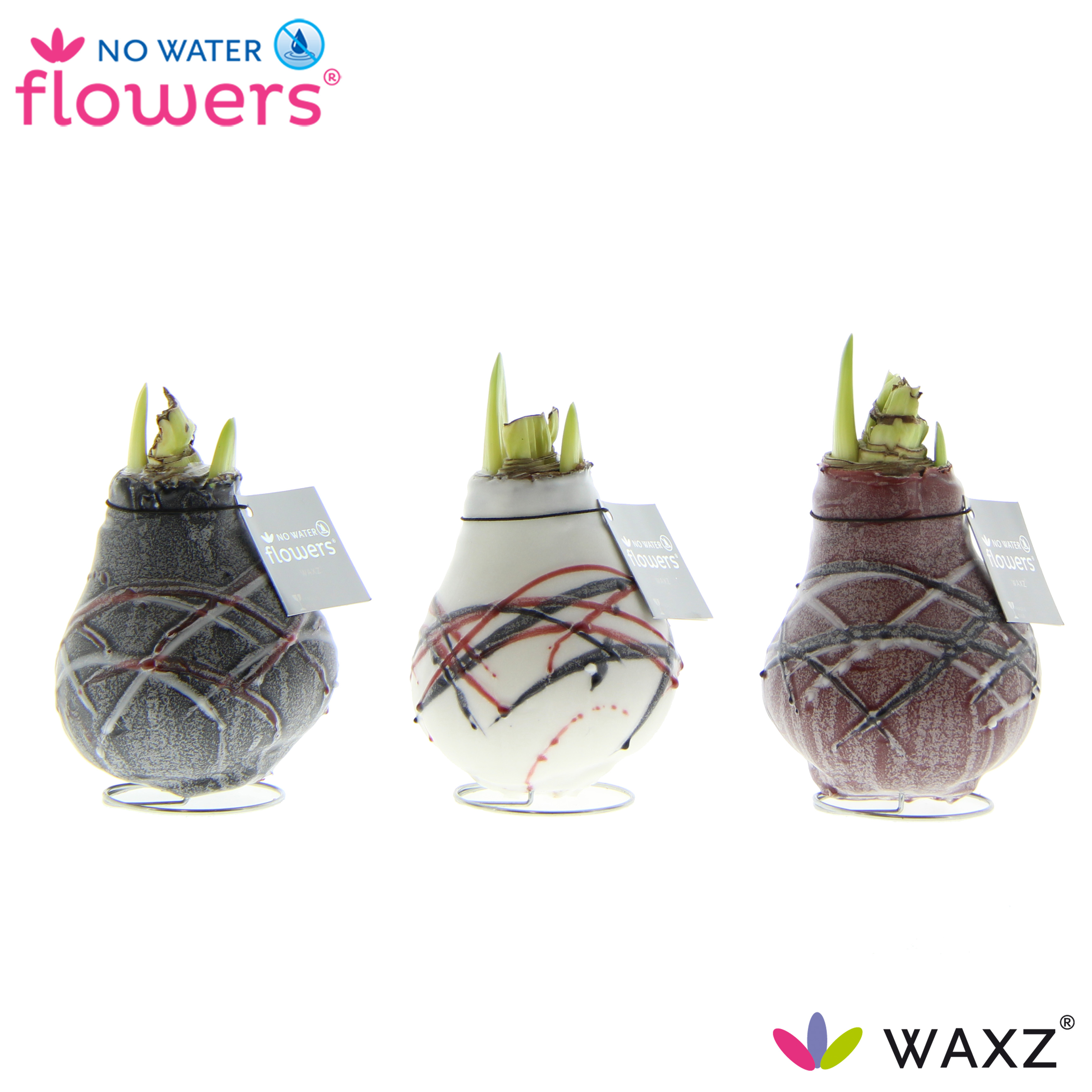 Picture of No Water Flowers Waxz® Art v Gogh 15CM