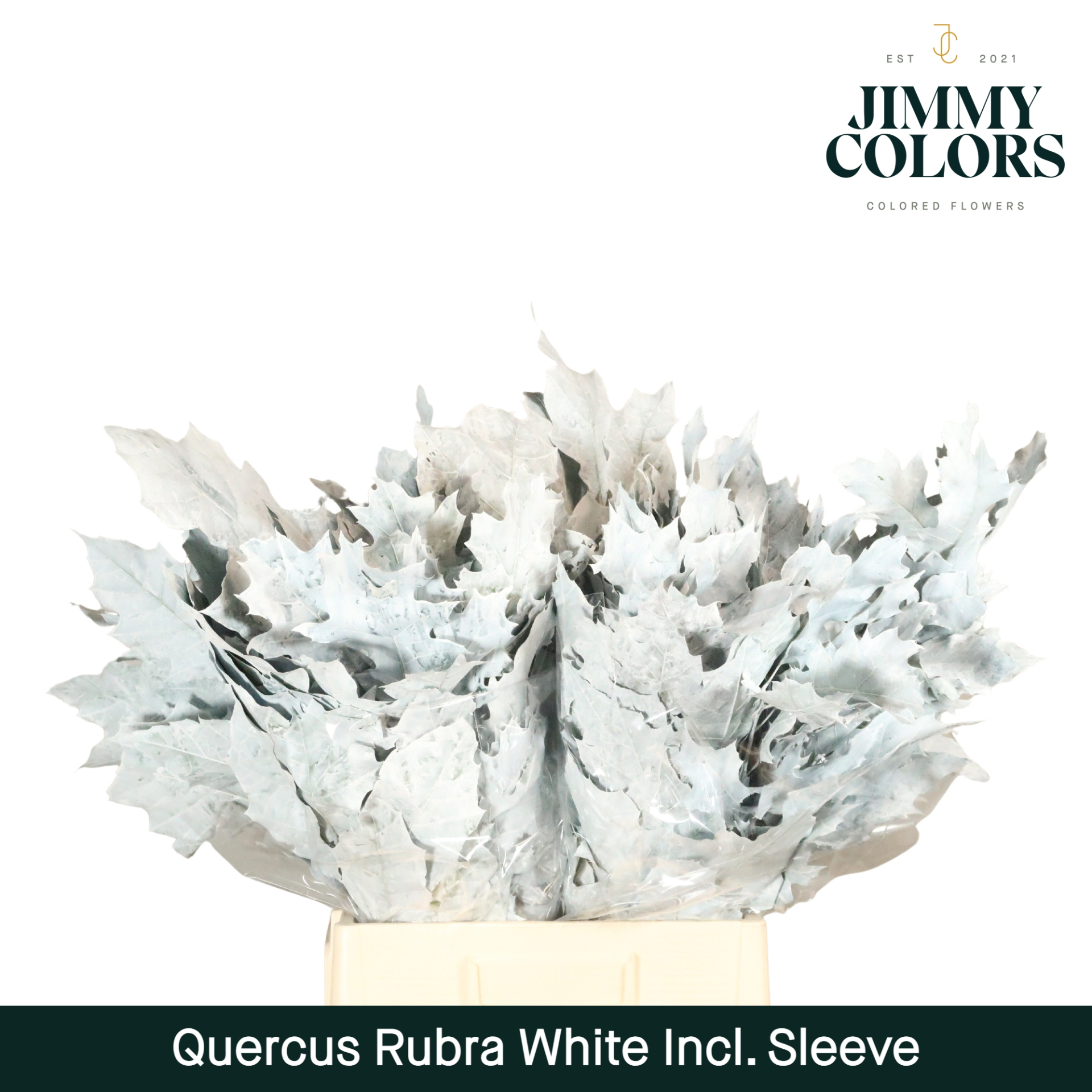 Quercus Rubra Sleeve L60 Wit