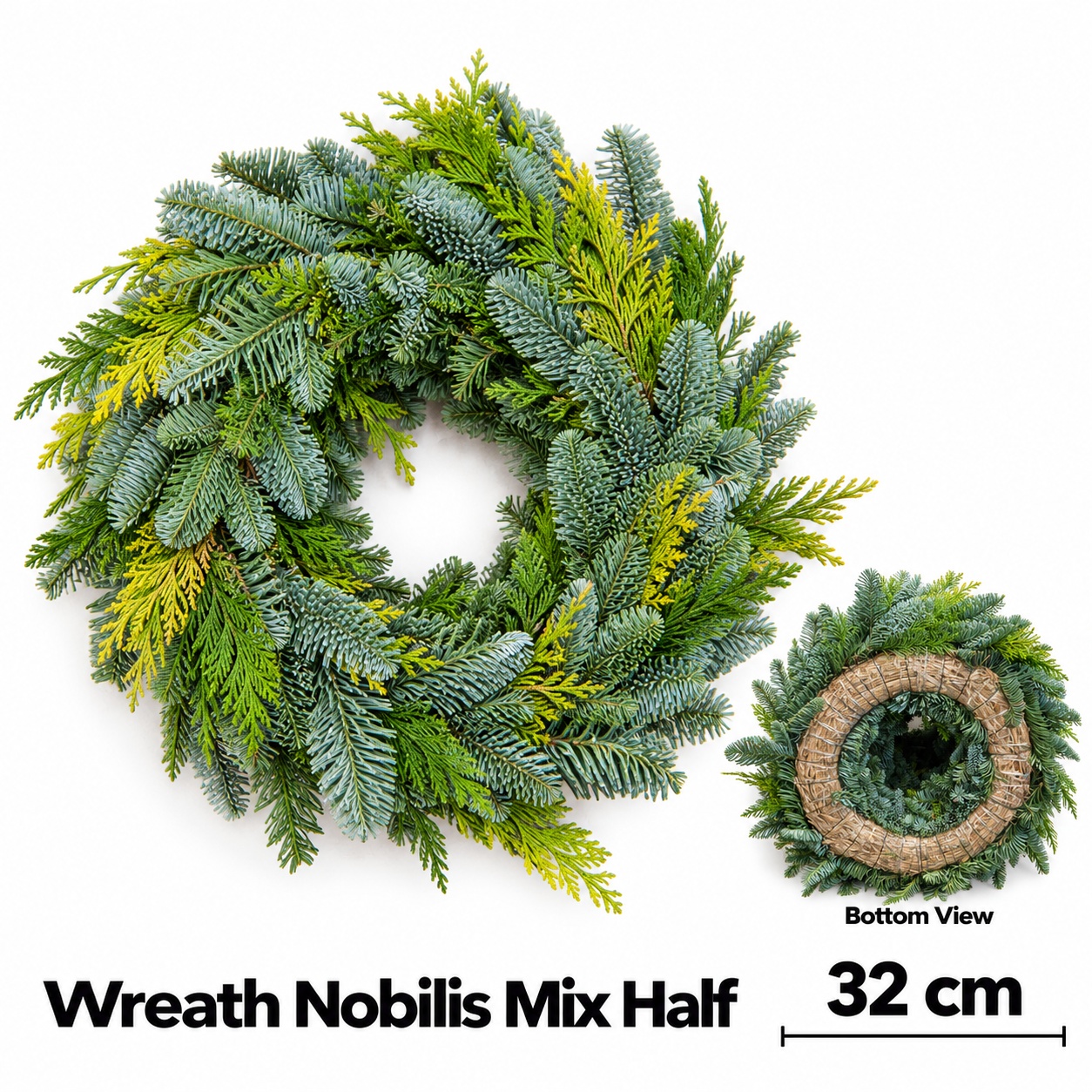 Abies Nobilis Blauw 32L.cm