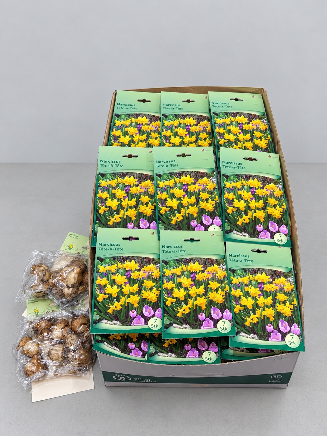 Bloembol Narcis