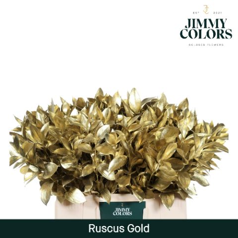 Ruscus L60 Mtlc. Gold