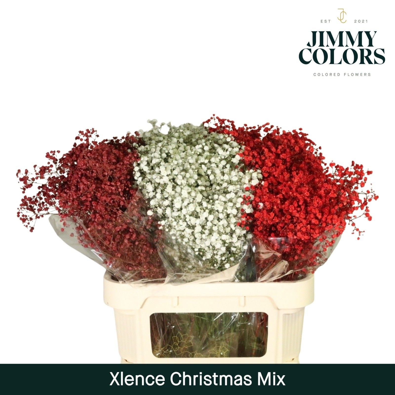 Gyps Xlence L70 Christmas Mix