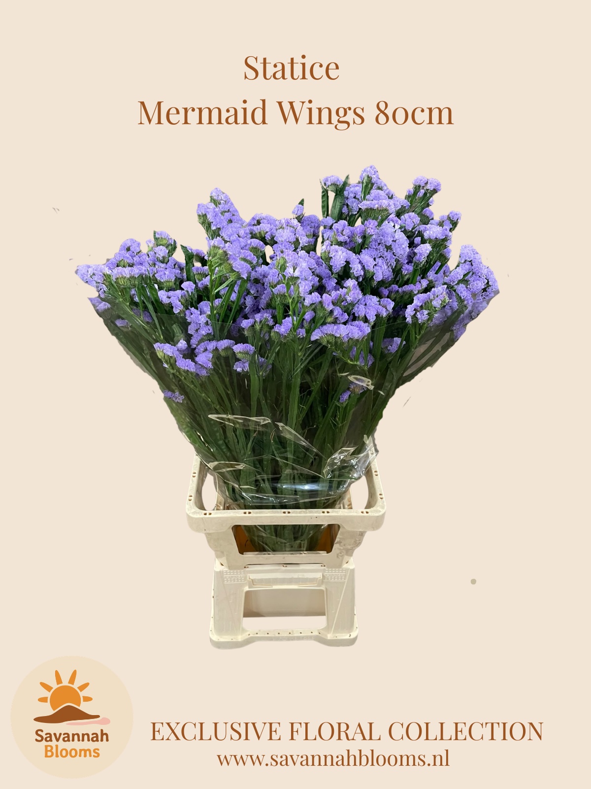 Lim S Mermaid Wings 80L.cm 34bloei