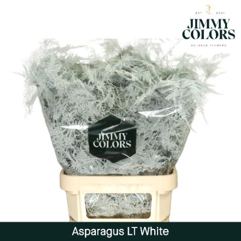 Aspa Lang Getopt White